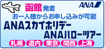 ���ٔ������s�� �D�y�s�� �֐��s���q�� �����Ȕ��ٔ��̍������s/ANA�X�J�C�z���f�[