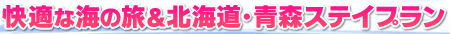 ���K�ȊC�̗����k�C���E�X�X�e�C�v����