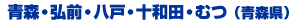 �X�E�O�O�E���ˁE�\�a�c�E�ނi�X���j