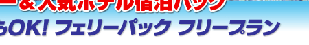 �t�F���[�p�b�N�@�t���[�v����