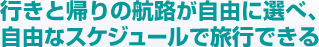 �s���ƋA��̍q�H�����R�ɑI�ׁA���������ŗ��s�ł���t���[�v�����̗��s���i�ł��B