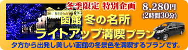 《タクシーでめぐる》冬の函館 ベイエリア元町&五稜郭 ~ イルミネーション夜景プラン