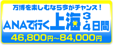 �X�J�C�z���f�[�@��C�����@�v����