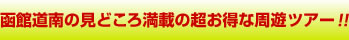 ٓ̌ǂ떞ڂ̒ȎVcA[