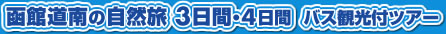 ib`oXŏ锟ٓR̃j^[cA[