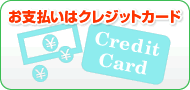 お支払いはクレジットカードで