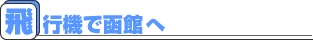 飛行機で函館へ
