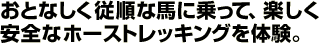 ƂȂ]ȔnɏāAySȃz[XgbLǑB