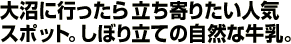 ɍs痧肽lCX|bgBڂ藧Ă̎RȋB