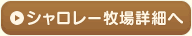 V[qڍׂ