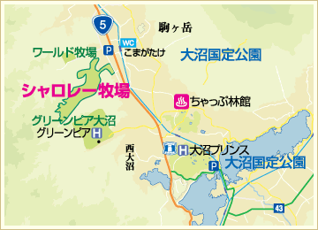 V[qn}