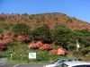 恵山つつじ