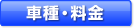 ԎE\͂