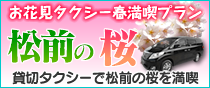 松前の桜を見るタクシー貸切コース