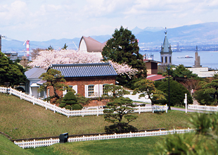 函館 元町配水場(水元公園)の桜