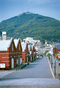 函館山と赤レンガ倉庫群 写真