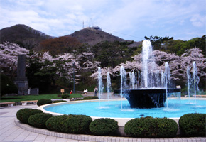 函館公園の噴水 写真