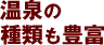 道南 日帰り温泉