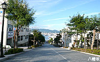 タクシー 観光 函館